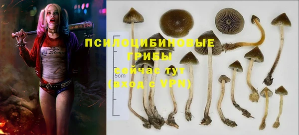 apvp Алексин