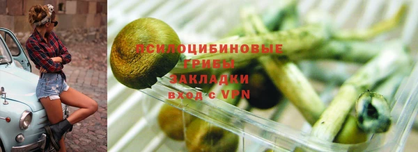 шишки Алзамай