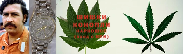 apvp Алексин