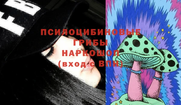 шишки Алзамай