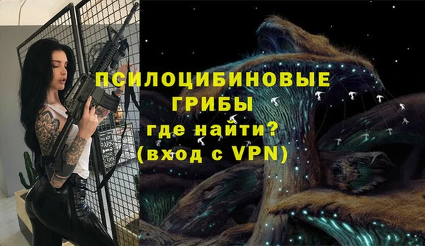 шишки Алзамай