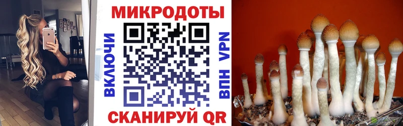 Псилоцибиновые грибы мухоморы Купить где Пермь